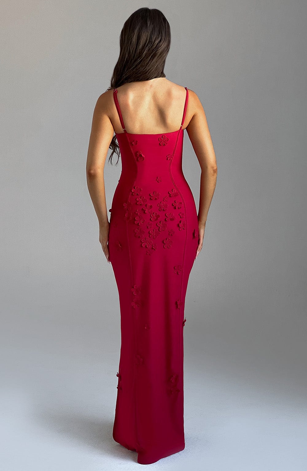 Seraphina Maxi Dress